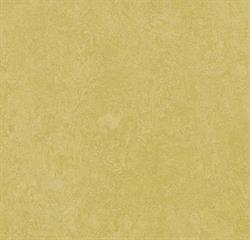Forbo Marmoleum Fresco Linoleum 3259 Mustard
